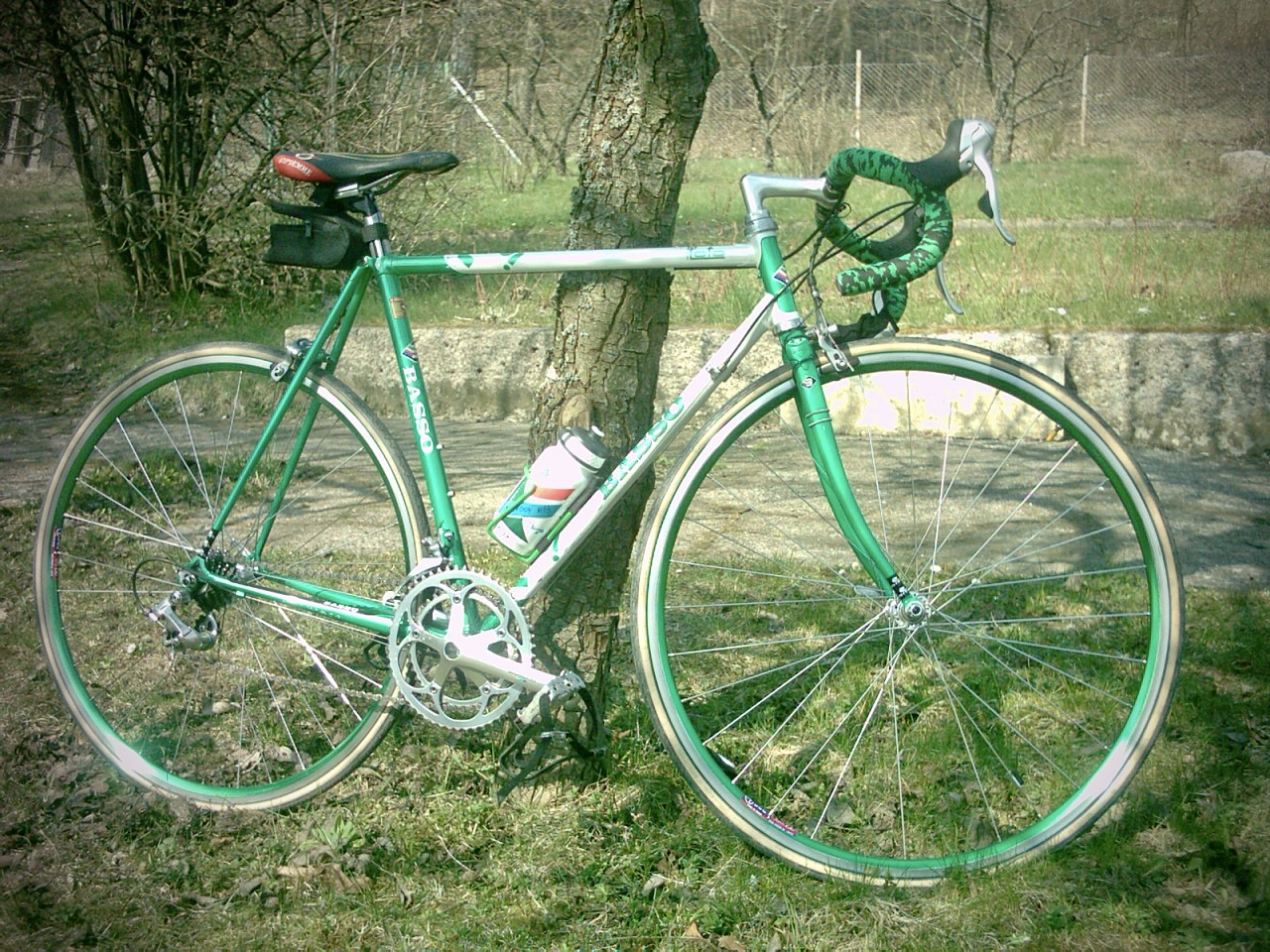 Basso Fior di Loto - kwiat lotosu